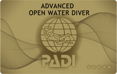 アドバンスドコースのご紹介