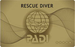 レスキューダイバーコースのご紹介