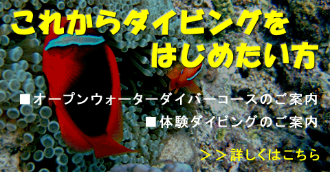 ダイビングスクールのご案内｜これからはじめたい方