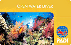 PADIオープンウォーターダイバー　Cカード
