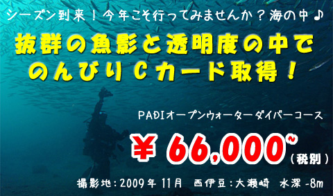 オープンウォーターダイバーコース｜講習風景