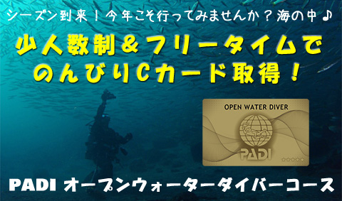 オープンウォーターダイバーコース｜講習風景