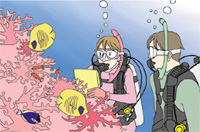 PADI 魚の見分け方SPコース