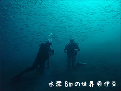 体験ダイビングのご案内