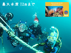 PADI スクーバダイバーコースのご紹介