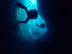 熱海 海中風景｜冬季限定 洞窟ダイビング｜ダイビングツアーのご案内