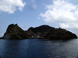 かっちゃま 浮島｜ダイビングツアーのご案内