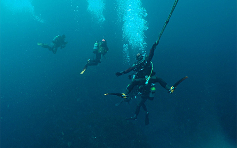 割引メンバー募集中！